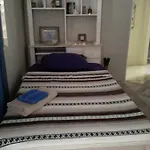 Froggy Guest House
