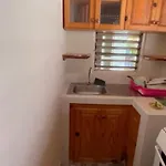 Froggy Guest House