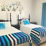 Aqua Studio 6
