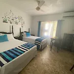Aqua Studio 6
