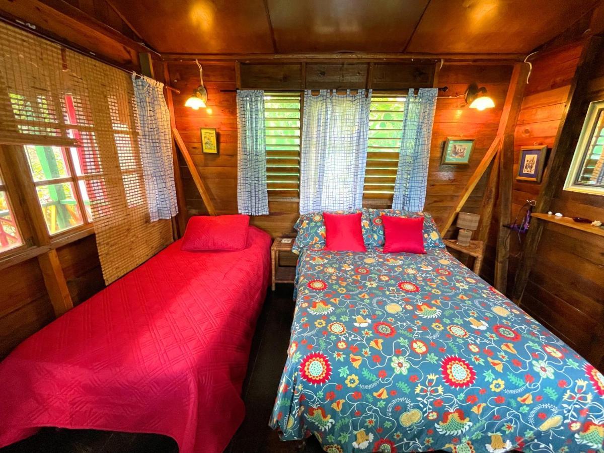Judy House Cottages And Rooms Hostel