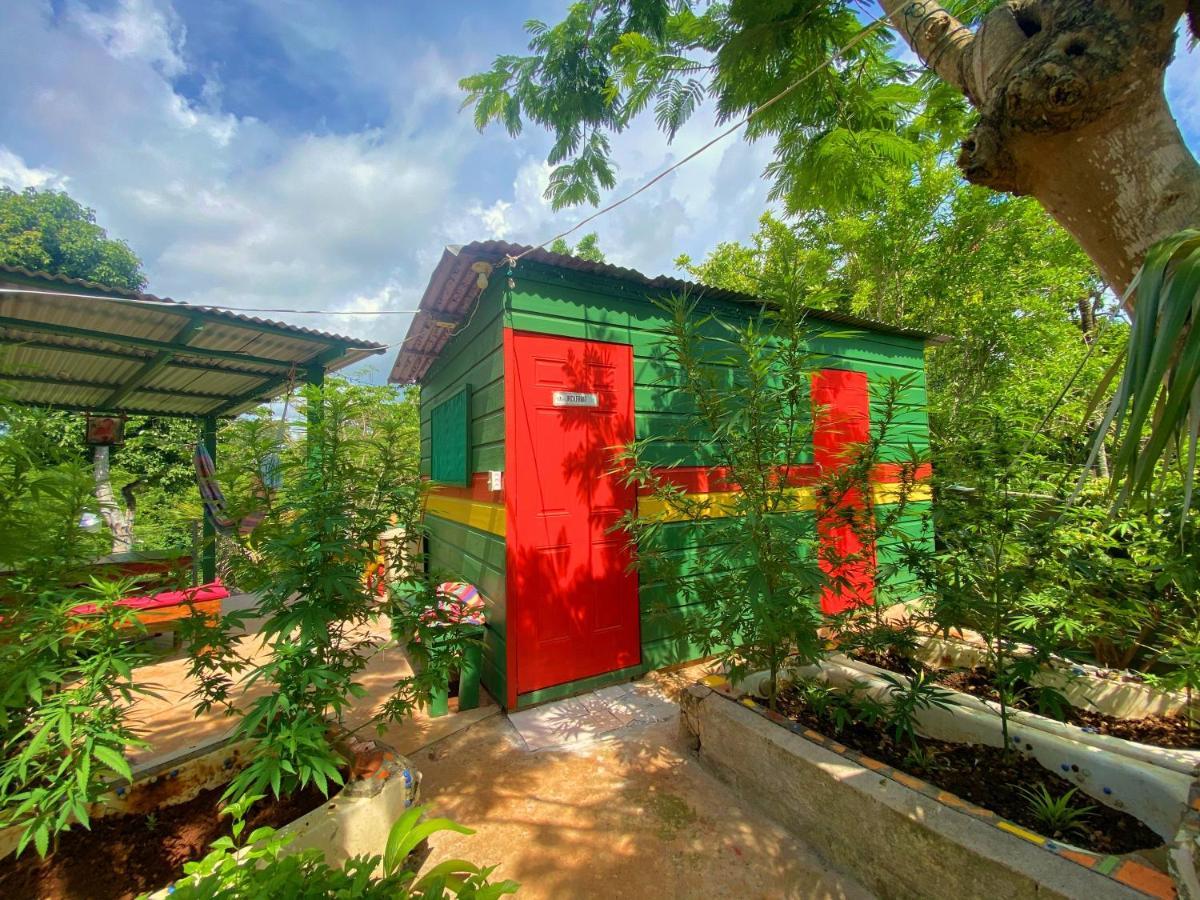 Hostel Judy House Cottages And Rooms *