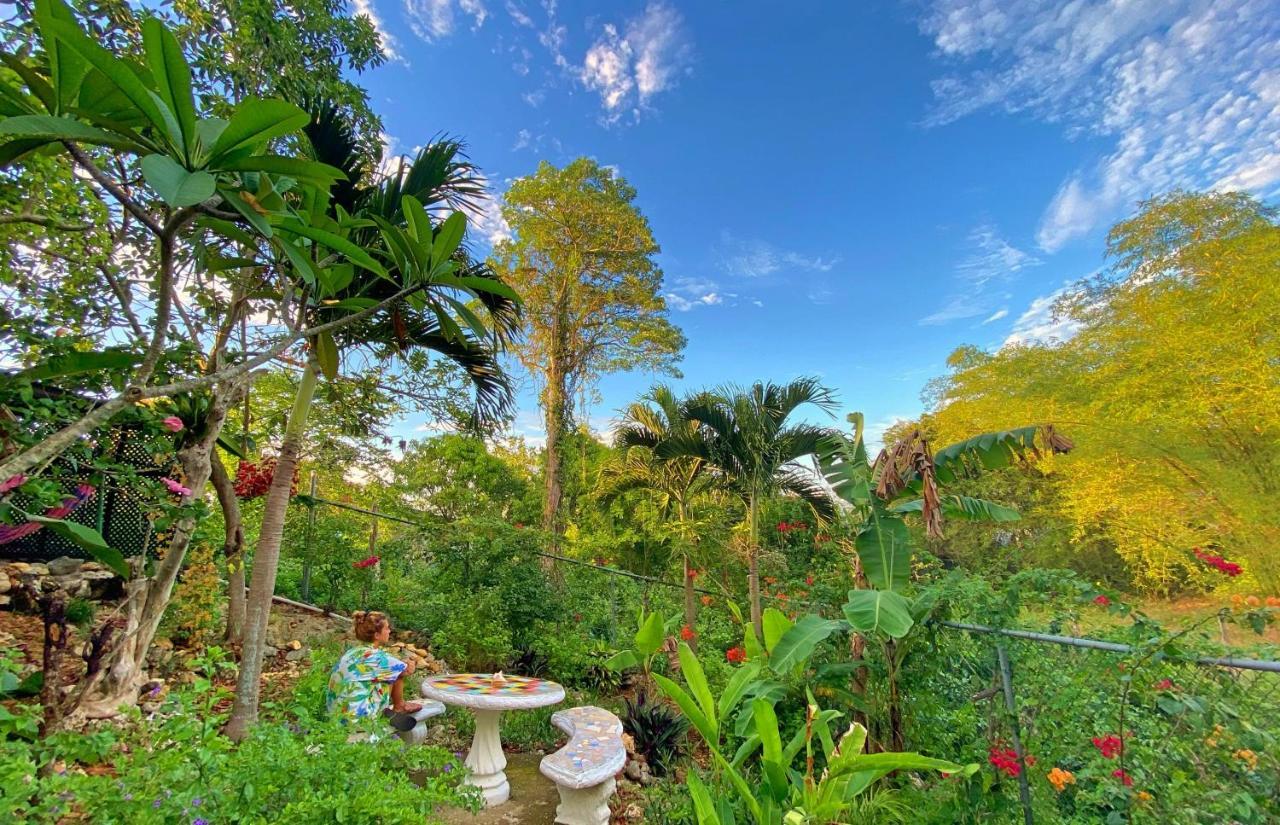 Judy House Cottages And Rooms Negril
