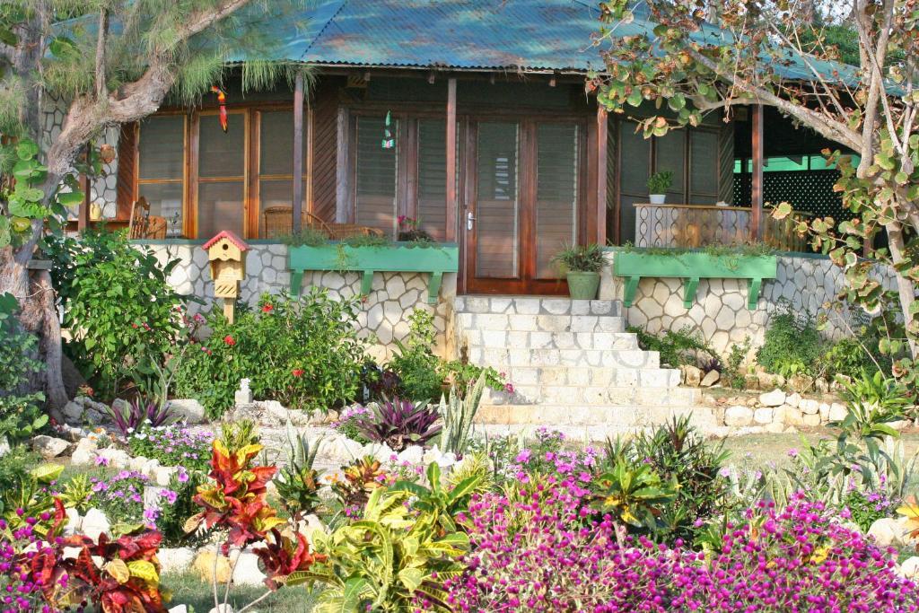 Catcha Falling Star Hotel 4*