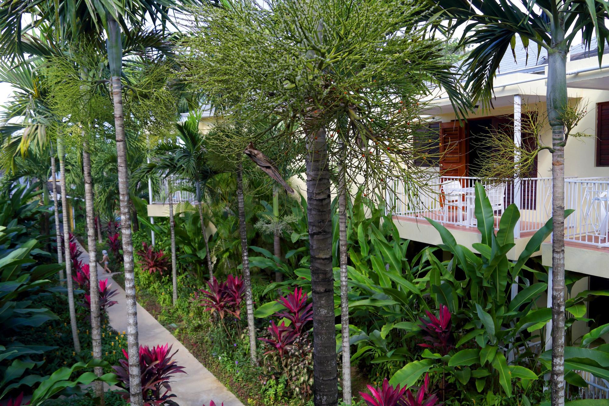Palms