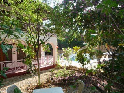 Hotel Catcha Falling Star Negril
