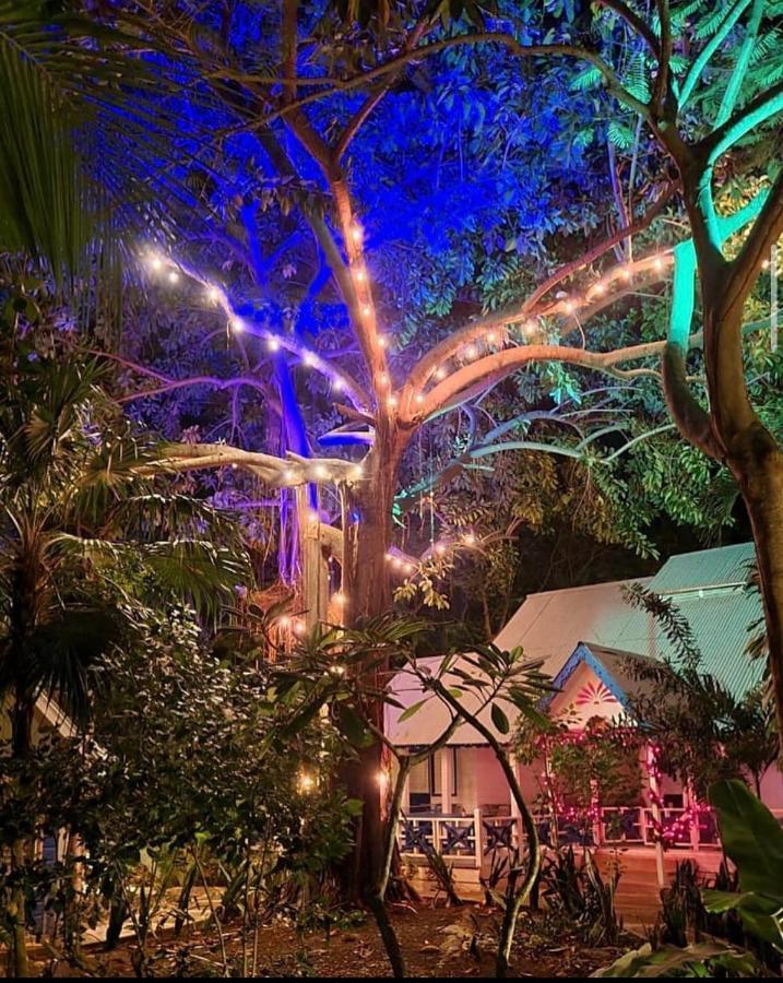 Bak A Yaad Lodge Negril