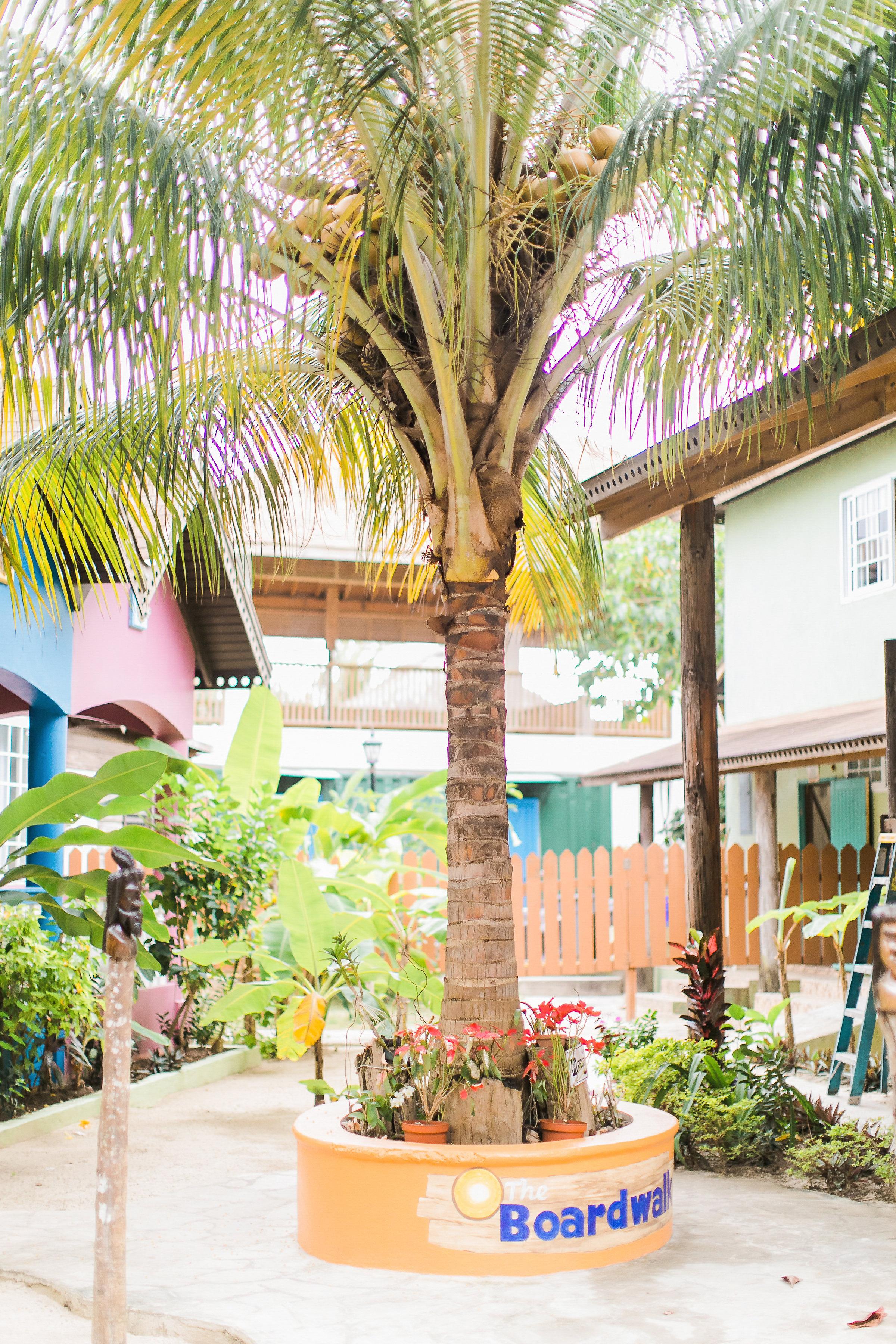 The Boardwalk Village Negril