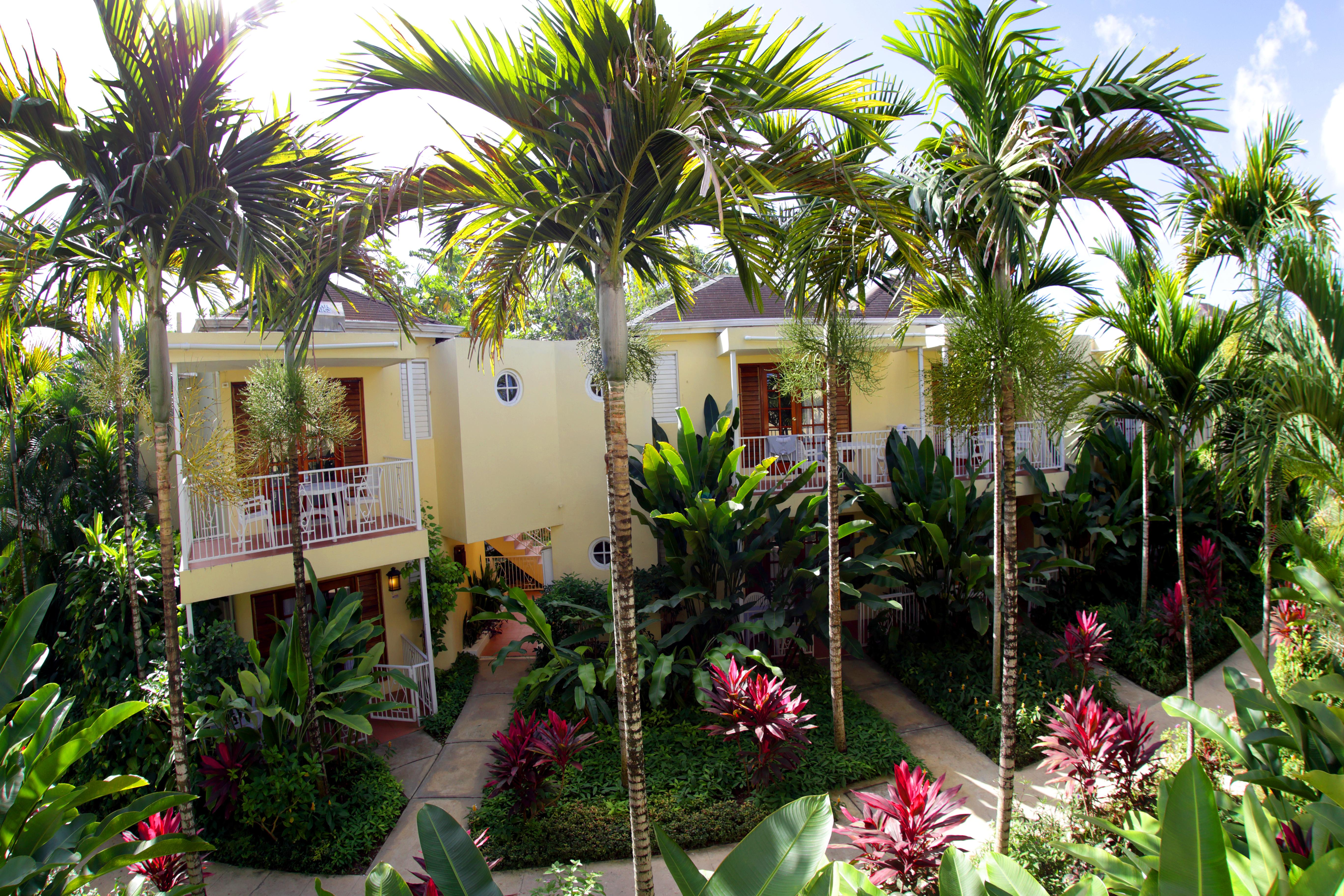 Palms Hotel 3*