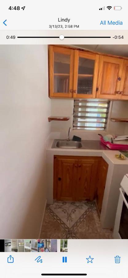 Froggy Apartment Negril