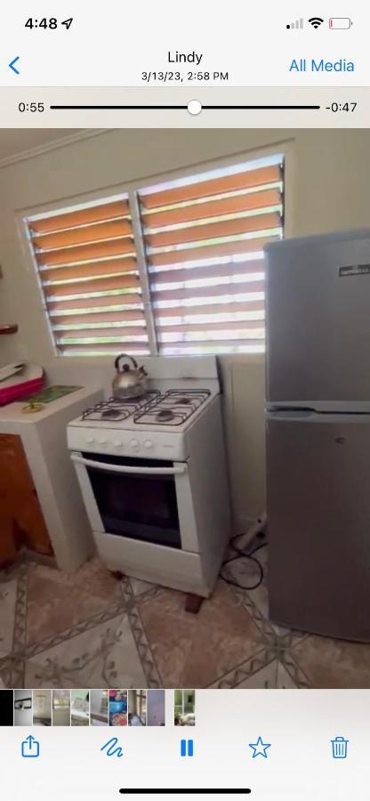 Froggy Apartment *