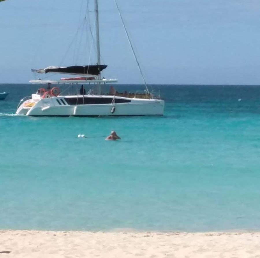 Apartment Seacret - Cozy Jamaican Retreat Apts *