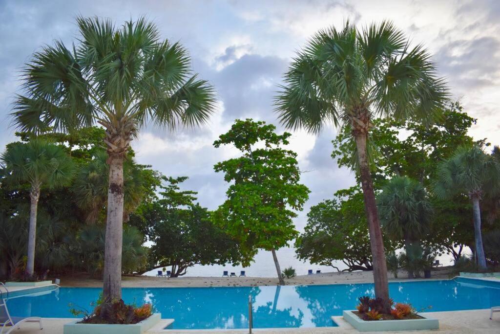 Apartment Irie Vibes By The Negril