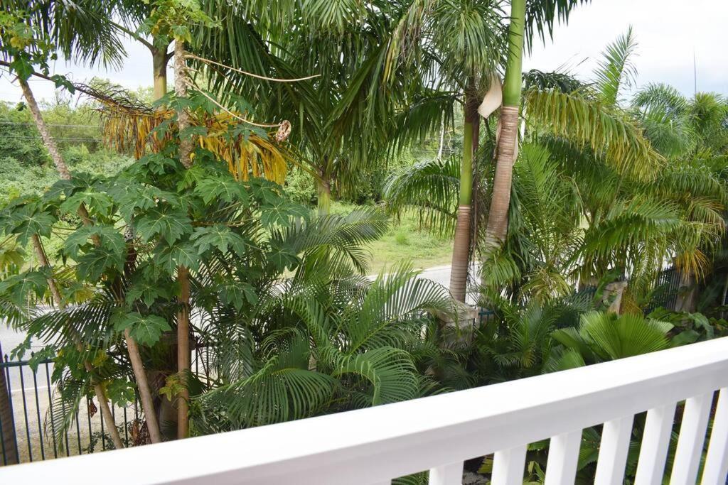 Apartment Irie Vibes By The Negril