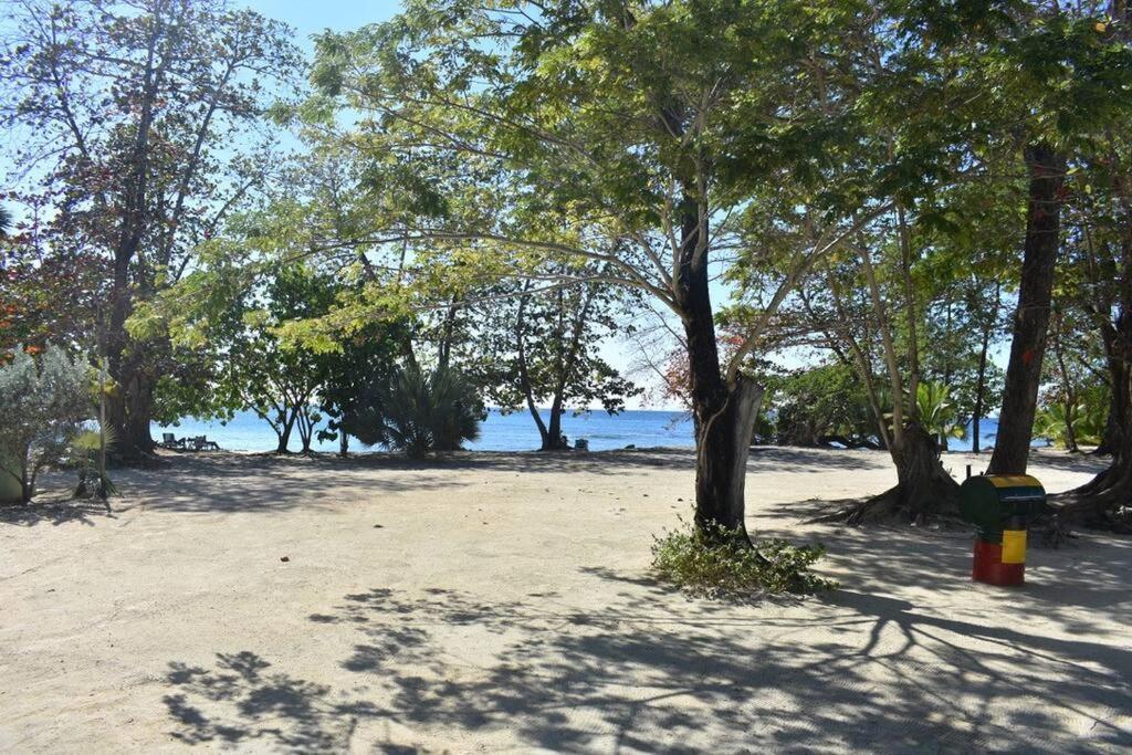 Apartment Irie Vibes By The Negril