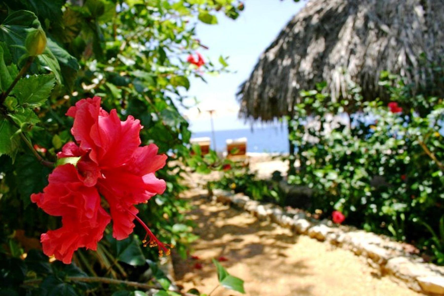 Tensing Pen Hotel Negril