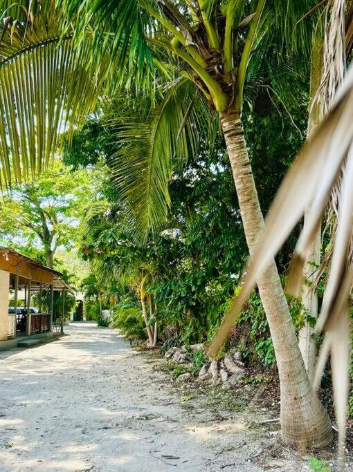 Apartment Luxury 1br In Steps From Negril