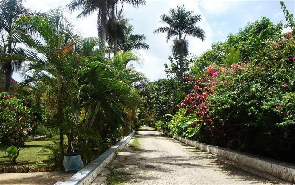 Pure Garden