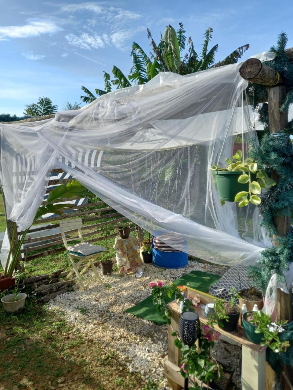 Farm stay Zion Culture &spa *