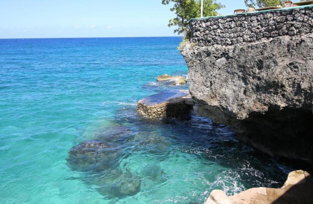 Clifftop Haven - Oceanfront With Pool Camp Dining Apartment Negril