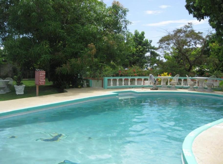 Clifftop Haven - Oceanfront With Pool Camp Dining Negril