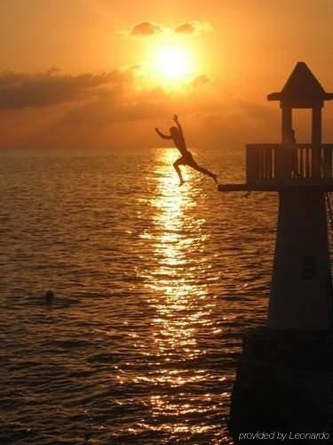 Hotel Escape And Negril