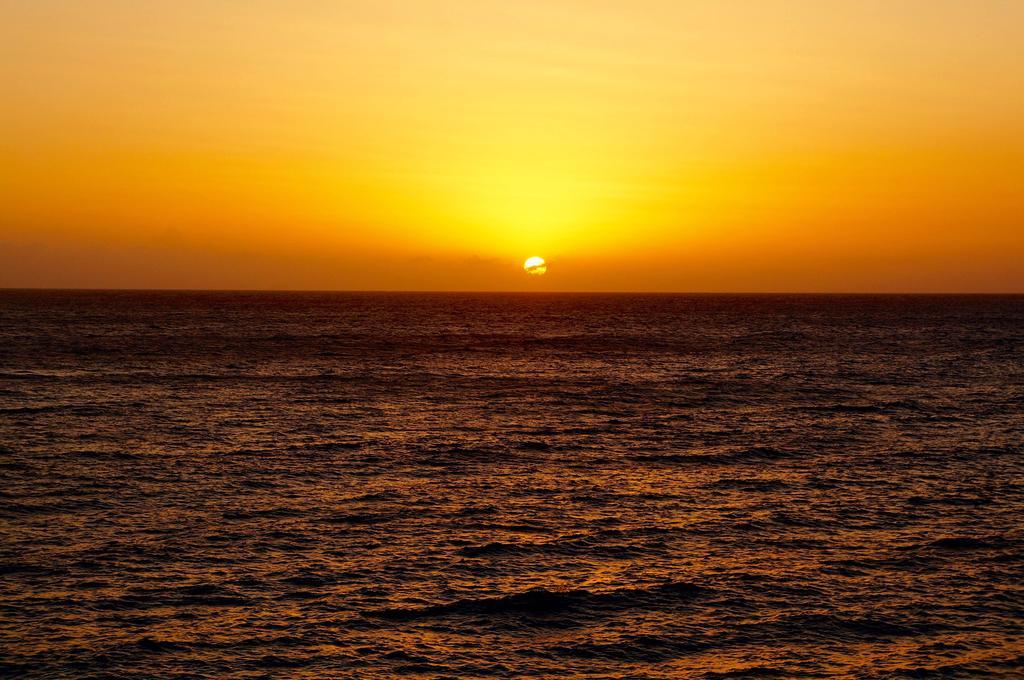 Alvynegril 2*