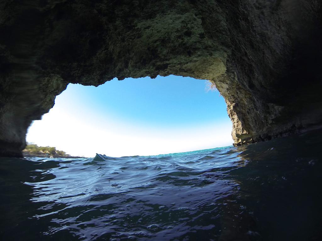 Alvynegril Negril