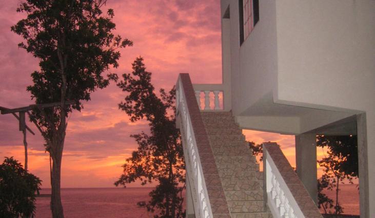 Alvynegril