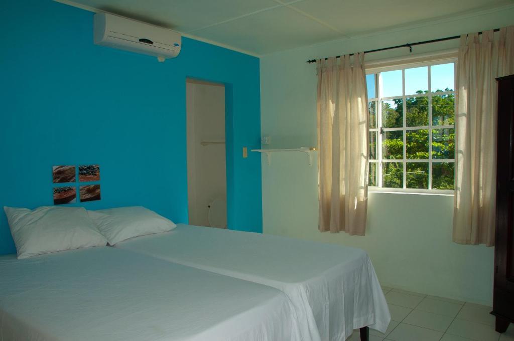 Alvynegril 2*