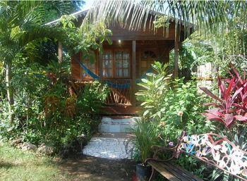 Hostel Judy House Cottages And Rooms Negril