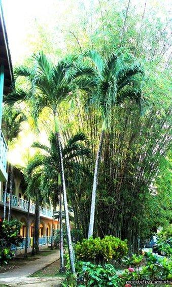 Pure Garden 3* Negril