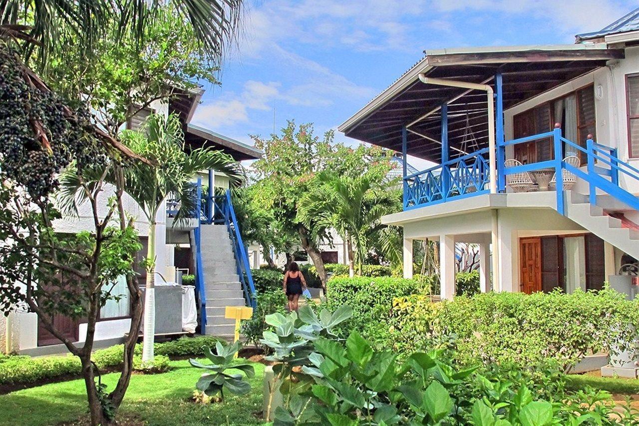 Treehouse Negril