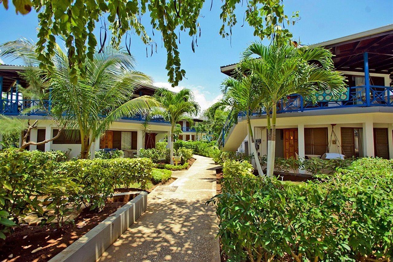 Hotel Treehouse