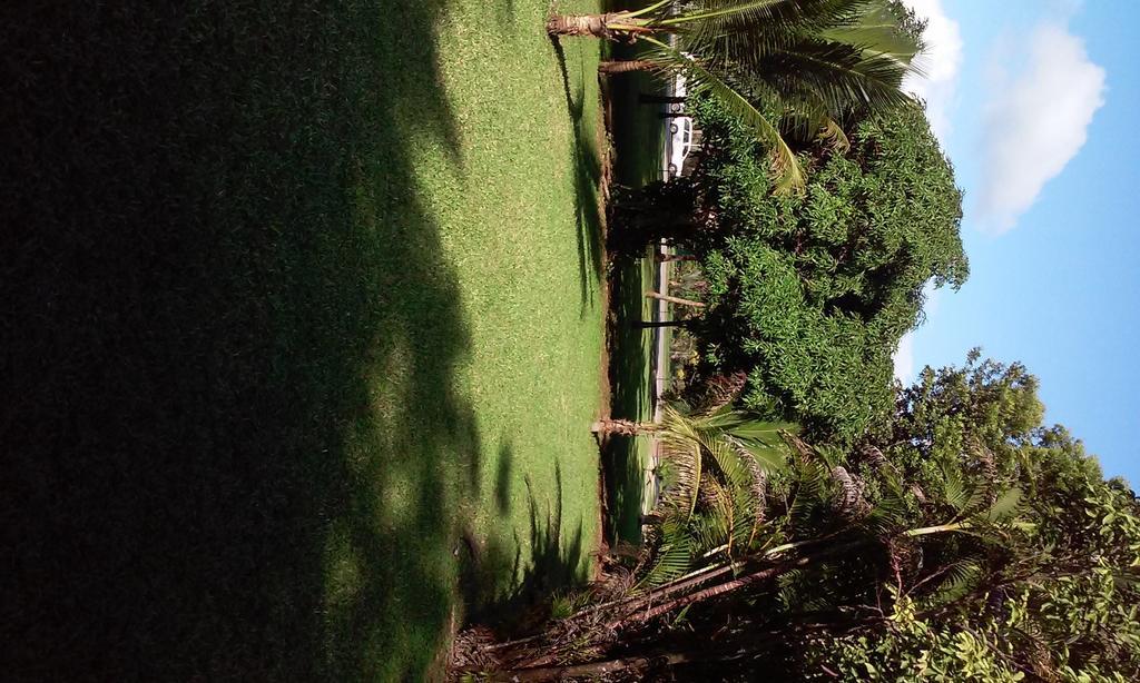 Cosy Coco Negril