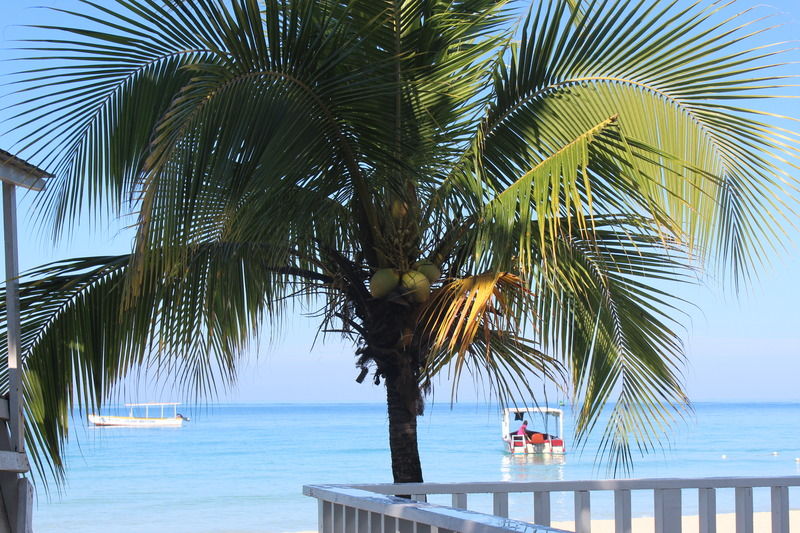 Zanzi Beach Negril