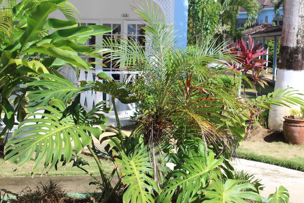 Beachcomber Club Resort Negril