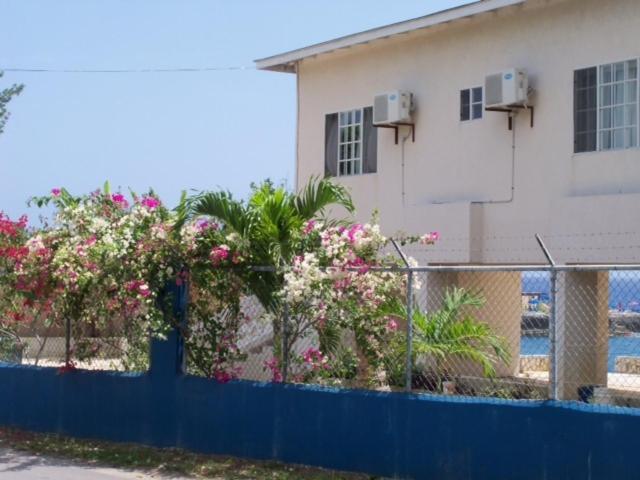 Alvynegril Guest house 2*