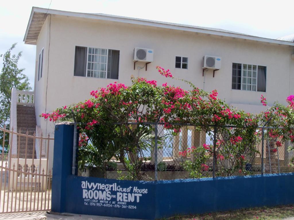 Guest house Alvynegril