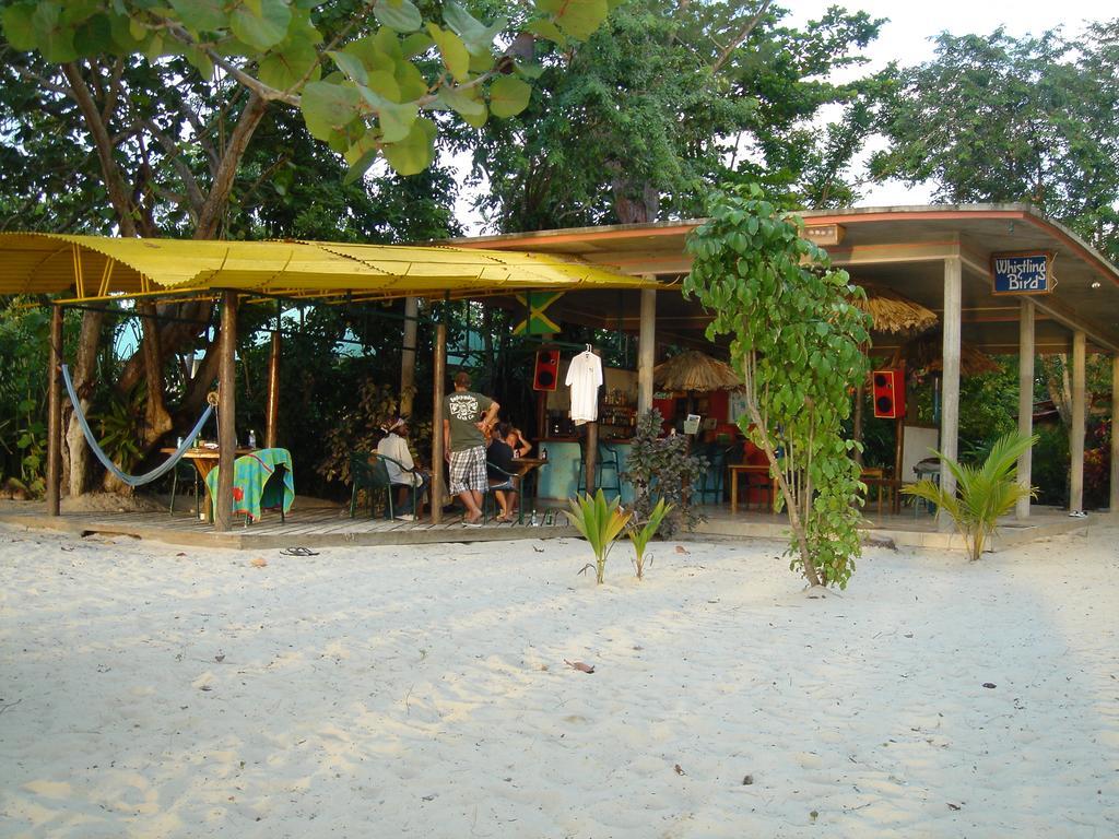 Whistling Bird Hotel Negril