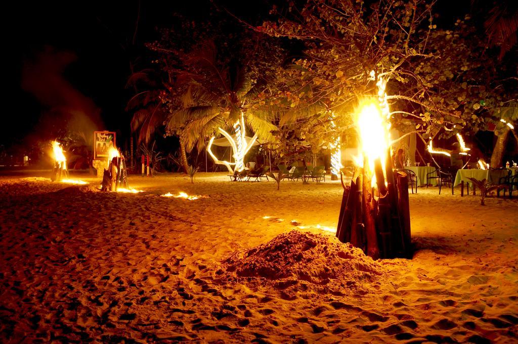 Hotel Whistling Bird Negril