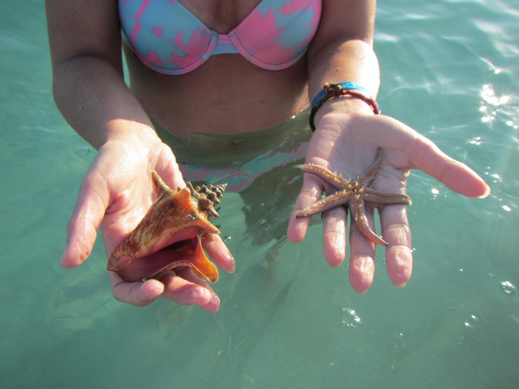 Beachcomber Club 3* Negril