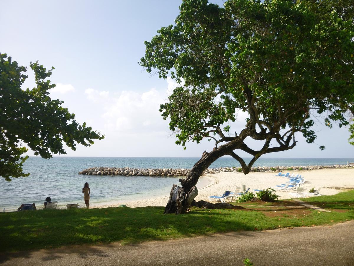Point Village 3* Negril