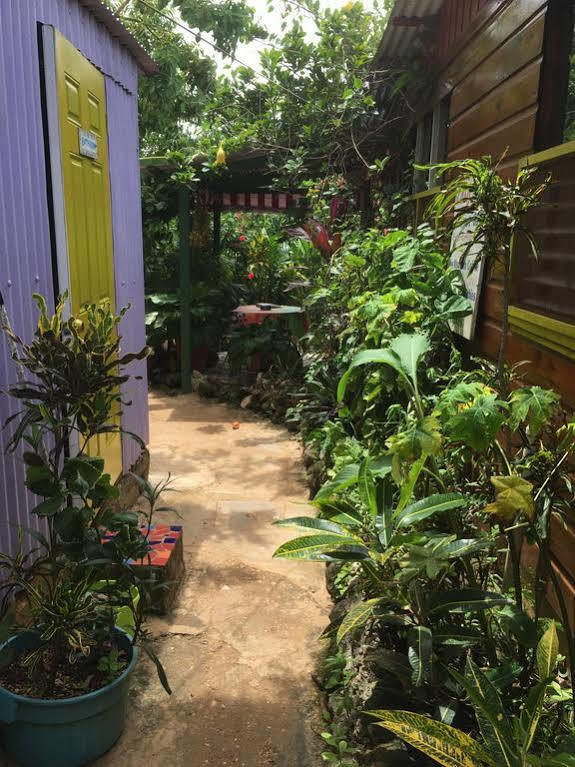 Judy House Cottages And Rooms Hostel
