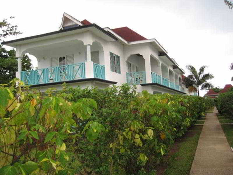 Coral Seas Negril