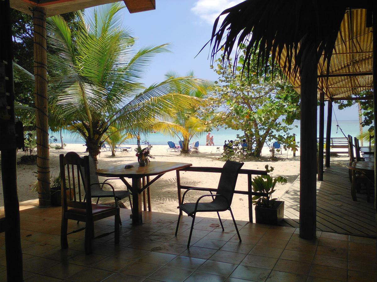 Whistling Bird 3* Negril