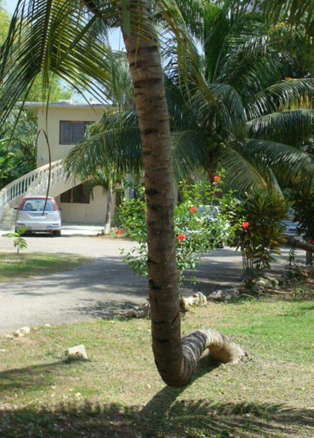 Ocean Wave Villa, Negril