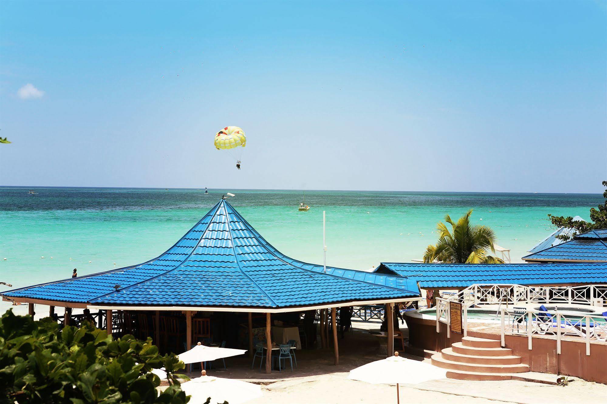 Hotel Treehouse 3*