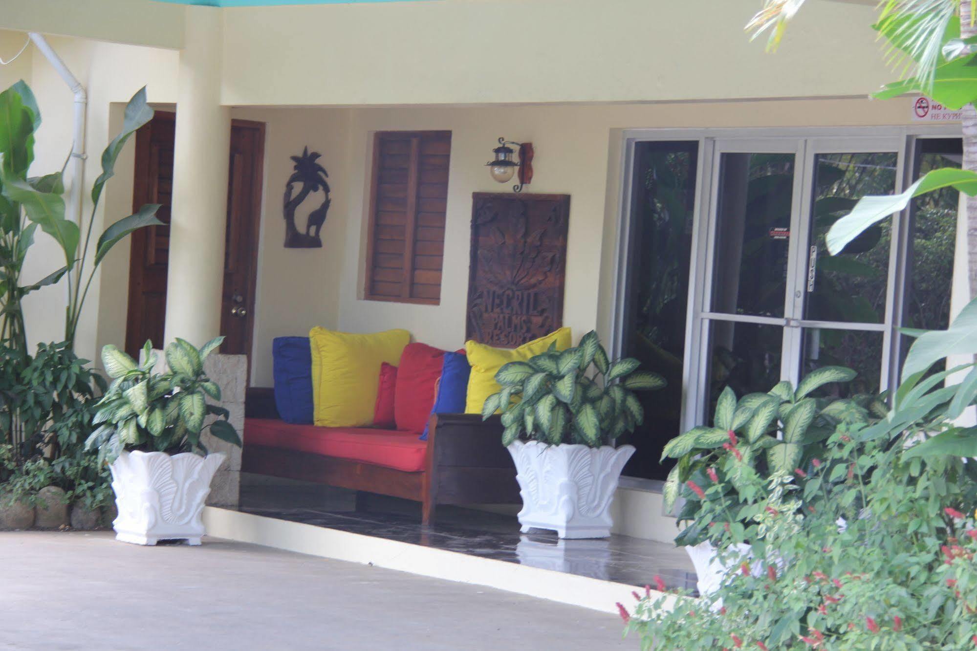 Palms 3*
