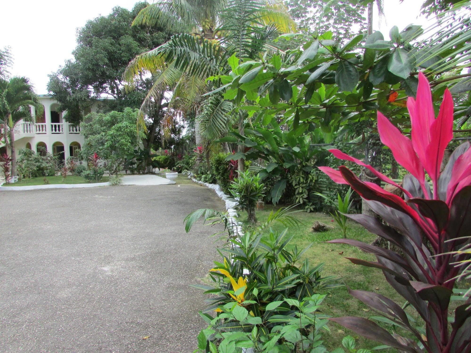 Ocean Wave Villa, Aparthotel Negril